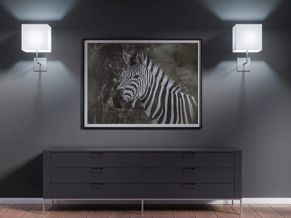 mockup zebra by Senten-Images